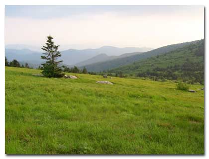 Round Bald Roan Mountain