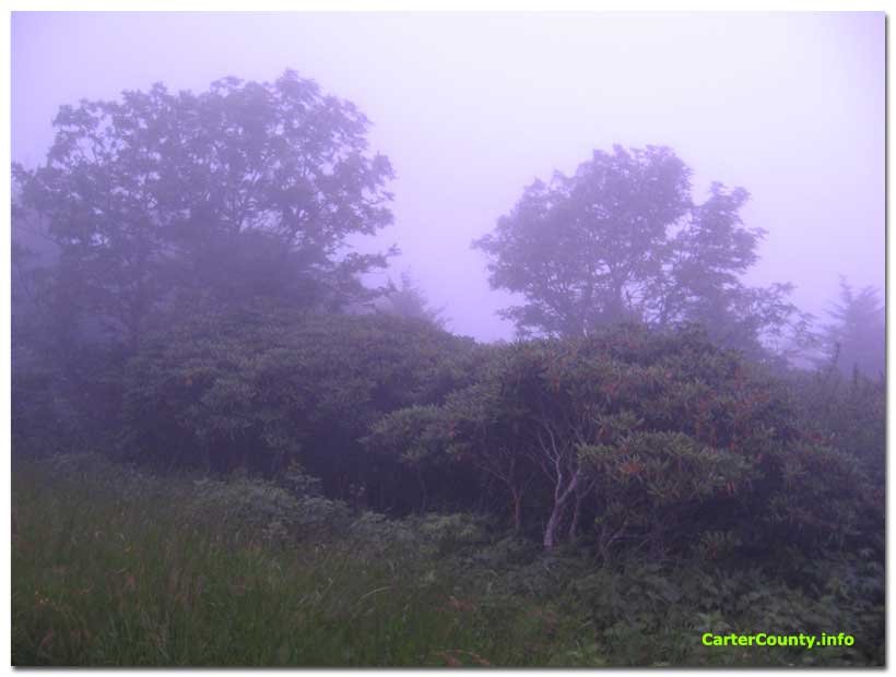 Purple Sunset Roan Mountain