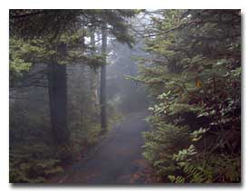 Roan Path