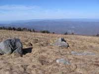 Another view from Round Bald Roan Mountain