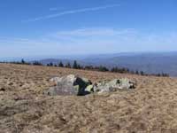 Looking into Carter County Tennessee