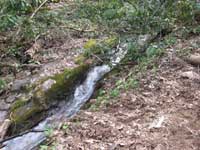 Below Coon Den Falls