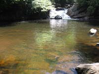 Wider view of waterfall pool